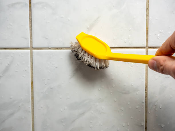 Best Mold Damage Repair  in Fairplay, GA