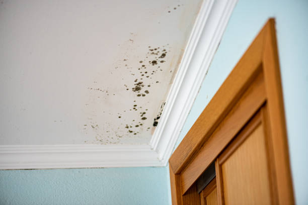 Best Water Damage Restoration  in Fairplay, GA